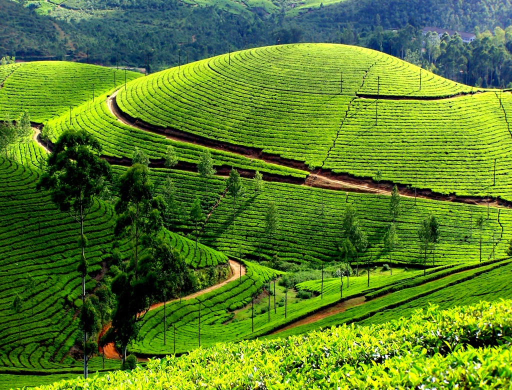 Madhumati Holidays Scenic South Kerala Tamilnadu